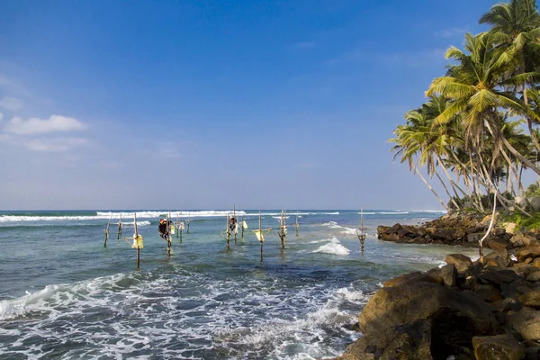 斯里兰卡安瓦图那 2014年1月25日 斯里兰卡安瓦图那不明的高跷渔民 高跷捕鱼是特别对加勒区和有大约500个捕鱼家庭在沿海带 — 图库照片