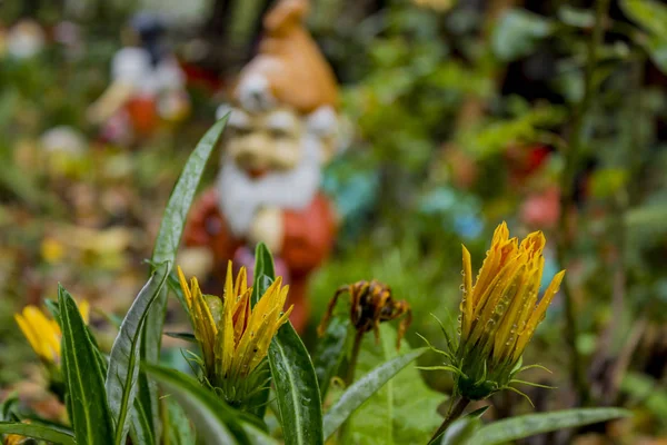 Ładny Karzeł Stojąc Spring Garden — Zdjęcie stockowe