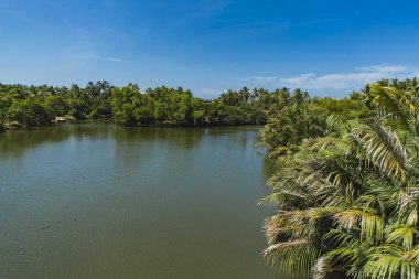 Lagoon yakınındaki Negombo, Sri Lanka, görüntüleme