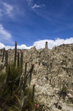 Kaya oluşumları Valle de la Luna Bolivya