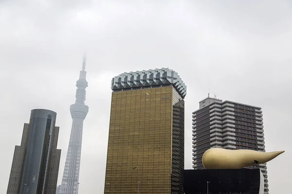 View at modern skyscrapers in Tokyo, Japan