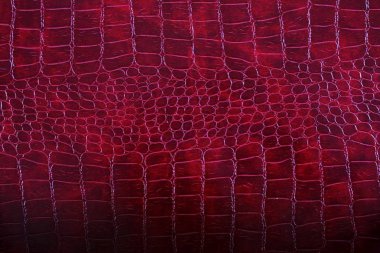 Yılan deri deri detay