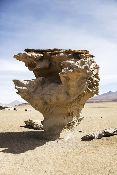 Arbol Piedra Stone Tree Rock Formation Eduardo Avaroa Andean Fauna — Stock Photo, Image