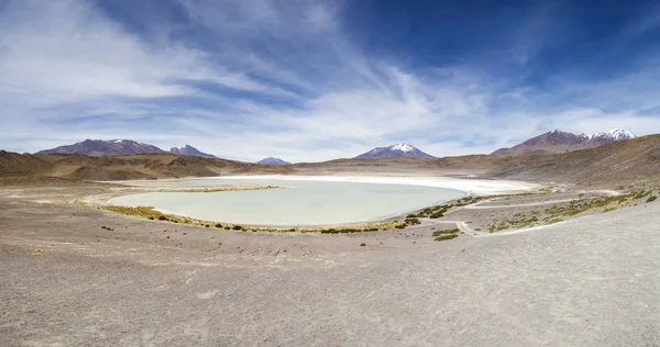 Laguna Hedionda Altiplano Andino Bolívia — Fotografia de Stock