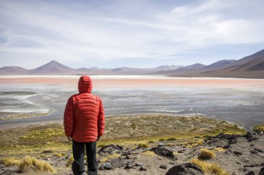 Eduardo Avaroa and Fauna Ulusal rezerv Bolivya, Laguna Colorada, genç adam