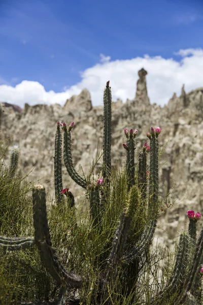 Rock Formations Valle Luna Bolivia — Stock Photo, Image