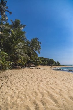 Matara, Sri Lanka, tropik sahilde görüntülemek