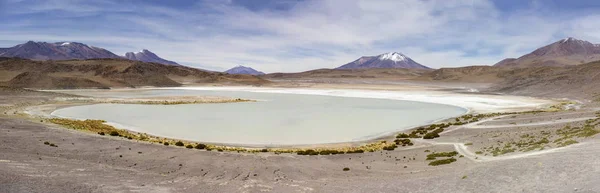 Laguna Hedionda Reserva Nacional Fauna Andina Eduardo Avaroa Bolivia — Foto de Stock