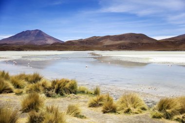Laguna Hedionda, Eduardo Avaroa and Fauna Ulusal rezerv Bolivya
