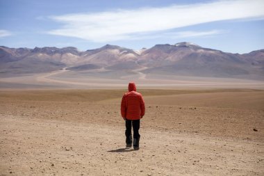 Eduardo Avaroa and Fauna Ulusal rezerv Bolivya'daki Dali çöl, genç adam
