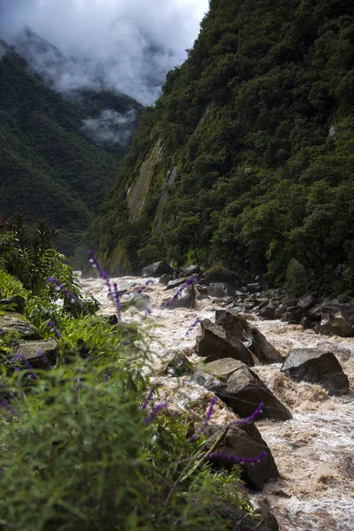 乌鲁班巴河的细节在秘鲁 — 图库照片