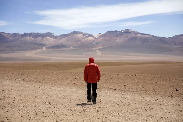 Eduardo Avaroa and Fauna Ulusal rezerv Bolivya'daki Dali çöl, genç adam