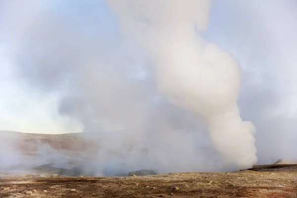 Geysers Sol Manana Reserva Nacional Eduardo Avaroa Andino Fauna Bolívia — Fotografia de Stock