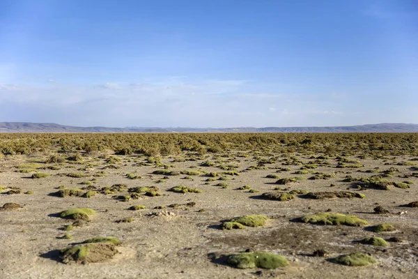 Dali Woestijn Bij Eduardo Avaroa Andes Fauna Nationale Reserve Bolivia — Stockfoto