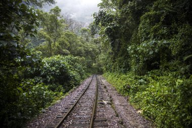 Cusco ve Machu Picchu, Peru Aguas Calientes arasındaki demiryolu