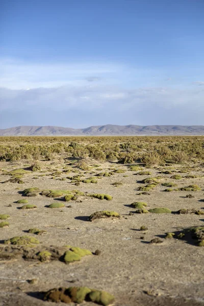 Dali Woestijn Bij Eduardo Avaroa Andes Fauna Nationale Reserve Bolivia — Stockfoto