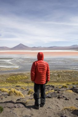 Eduardo Avaroa and Fauna Ulusal rezerv Bolivya, Laguna Colorada, genç adam