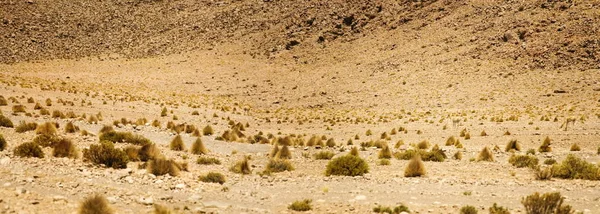 Dali Deserto Eduardo Avaroa Riserva Nazionale Della Fauna Andina Bolivia — Foto Stock