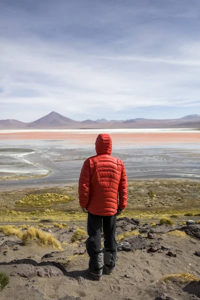 Eduardo Avaroa and Fauna Ulusal rezerv Bolivya, Laguna Colorada, genç adam