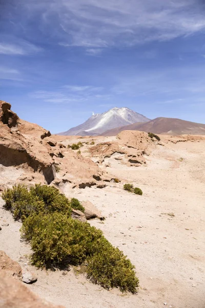ボリビアのレセルバ ナシオナル 相アンディーナ エドゥアルド アバロア Licancabur 火山を表示します — ストック写真