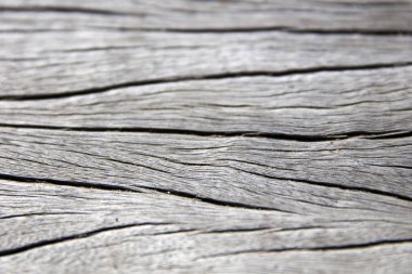 Gri ahşap doku manzaraya kadar kapatın