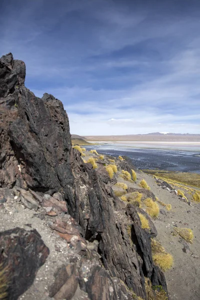 Laguna Colorada Reserva Nacional Eduardo Avaroa Fauna Andina Bolívia — Fotografia de Stock