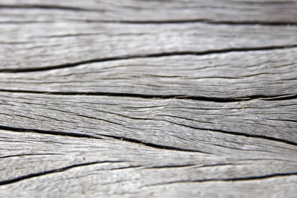 Gri ahşap doku manzaraya kadar kapatın