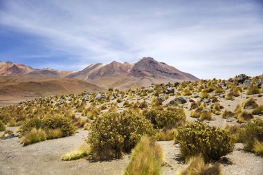 Laguna Colorada, Eduardo Avaroa and Fauna Ulusal rezerv Bolivya