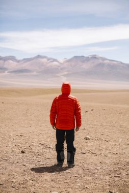 Eduardo Avaroa and Fauna Ulusal rezerv Bolivya'daki Dali çöl, genç adam