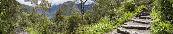 Dettaglio Della Cittadella Machu Picchu Inca Perù — Foto Stock