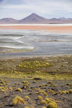 Laguna Colorada, Eduardo Avaroa and Fauna Ulusal rezerv Bolivya