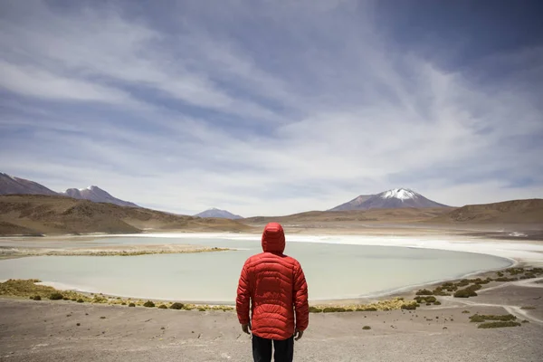 Jongeman Laguna Hedionda Eduardo Avaroa Andes Fauna Nationale Reserve Bolivia — Stockfoto