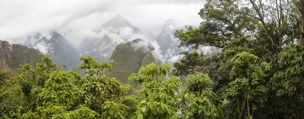 秘鲁马丘比丘印加城堡周围荒野的细节 — 图库照片