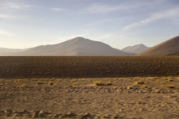 Dali Deserto Eduardo Avaroa Riserva Nazionale Della Fauna Andina Bolivia — Foto Stock