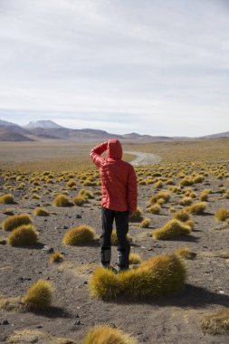 Otlakta Laguna Colorada, Eduardo Avaroa and Fauna Ulusal rezerv Bolivya tarafından genç adam