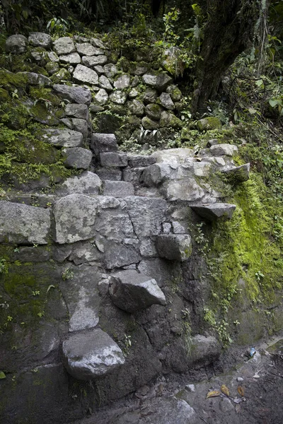 Detalhe Cidadela Machu Picchu Inca Peru — Fotografia de Stock