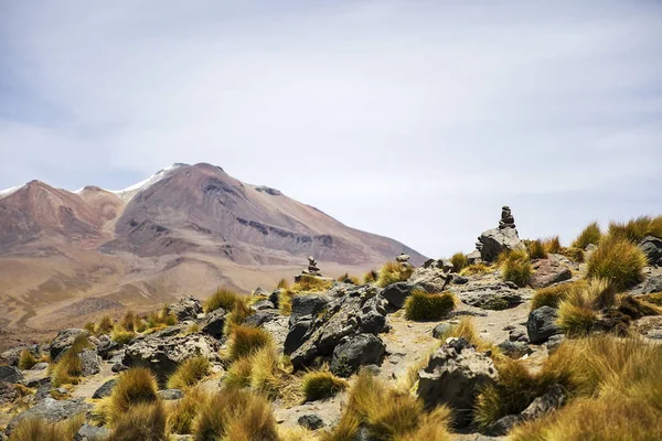 Laguna Colorada Presso Riserva Nazionale Della Fauna Andina Eduardo Avaroa — Foto Stock