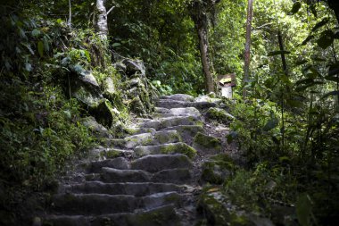 Ayrıntı Peru Machu Picchu Inca Kalesi