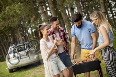 Bir grup genç insan Barbekü partisi Park zevk