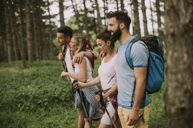 Bir grup genç insan bahar günü dağda hiking
