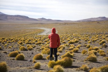 Otlakta Laguna Colorada, Eduardo Avaroa and Fauna Ulusal rezerv Bolivya tarafından genç adam