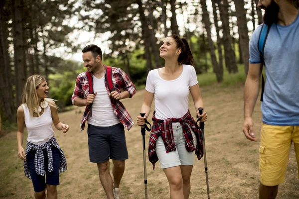 Groep Jongeren Zijn Wandelen Berg Lente — Stockfoto