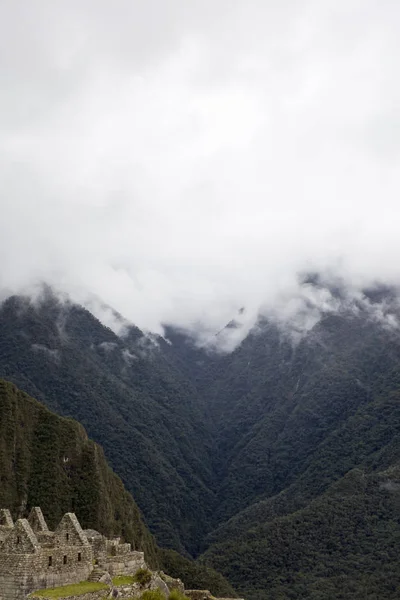 Detalj Vildmarken Runt Machu Picchu Inca Citadellet Peru — Stockfoto