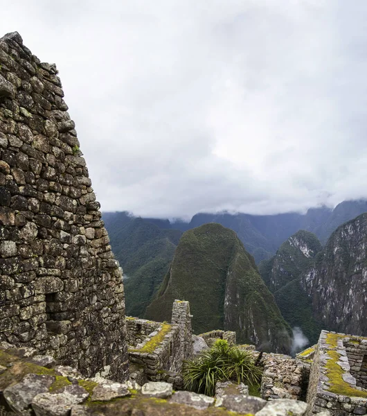 Detalhe Das Ruínas Machu Picchu Peru — Fotografia de Stock