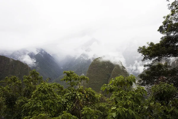 Détail Nature Sauvage Autour Citadelle Machu Picchu Inca Pérou — Photo