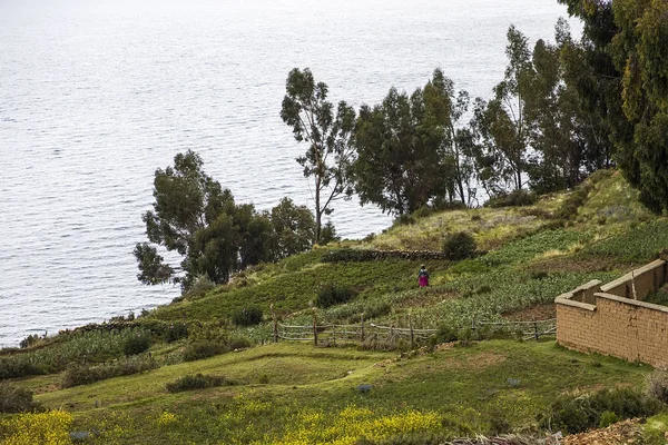 สลาเดลโซลบนทะเลสาบ Titicaca ในโบล — ภาพถ่ายสต็อก