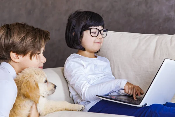 Хлопчик Підліток Маленька Дівчинка Собакою Дивиться Ноутбук Кімнаті — стокове фото