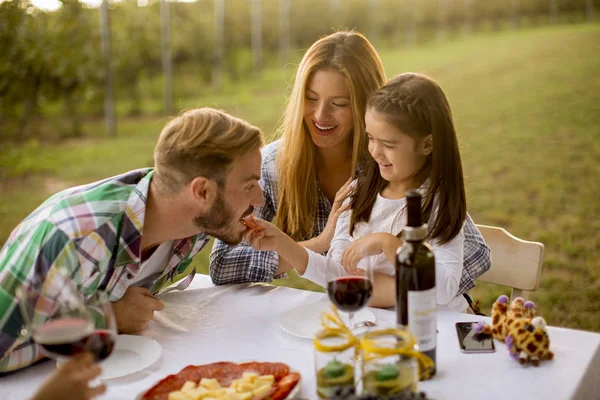 Les Jeunes Profitent Dîner Dégustation Vin Dans Vignoble Coucher Soleil — Photo