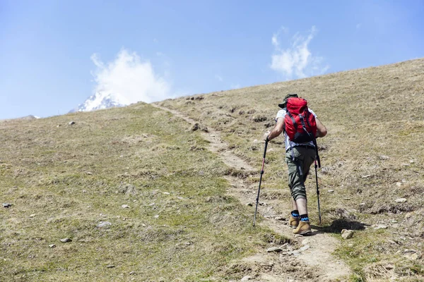 Rear View Hiker Backpack Trekking Kazbek Mountain Georgia — Stock Photo, Image