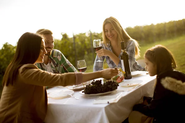 Jugendliche Genießen Abendessen Und Weinprobe Weinberg Bei Sonnenuntergang — Stockfoto